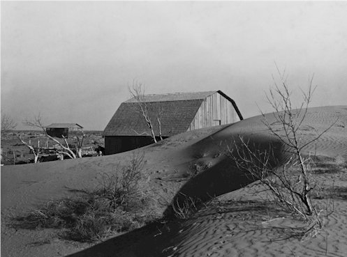 Depression Era Photo 8X10 Dust Bowl Farm