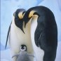 Emperor Penguins and Chick 20X30 Poster Art Print