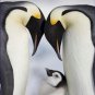 Emperor Penguins Chick Antarctica 20X30 Poster Art Print