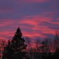 Acadia National Park Winter Sunset 12x16 Canvas