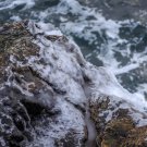 Acadia National Park Frozen Sea 11x14 Photograph