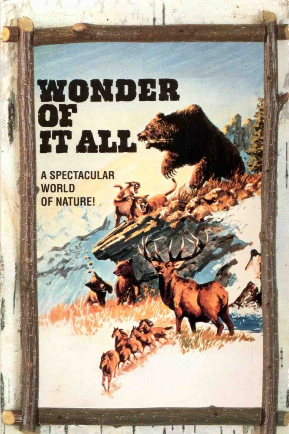 Wonder of it All DVD Nature Documentary