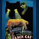 The Black Cat - DVD - 1934 - Boris Karloff - Bela Lugosi The Black Cat - DVD - 1934 - Boris Karloff - Bela Lugosi