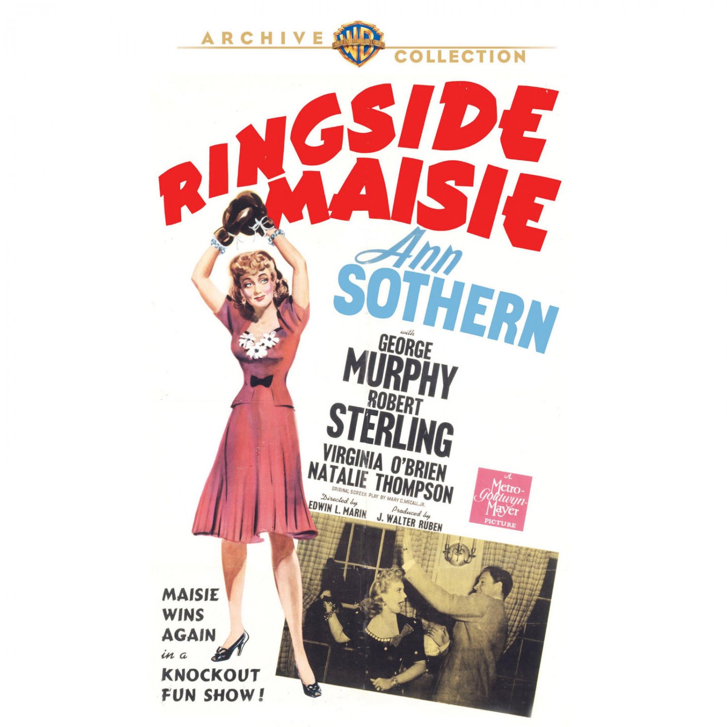 Ringside Maisie DVD 1941 Ann Sothern, Murphy, Robert Sterling