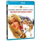 Far From The Madding Crowd - Bluray - 1966 - Julie Christie - Terence Stamp