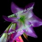 LED Solar Garden/Yard Lamp Stake Light Lily Flower With Multi Color Changing