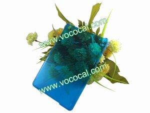 Clear Crystal Hard Case Cover Skin for iPad Mini Blue