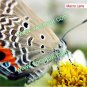 3in1 Fish Eye + Wide Angle + Macro Lens Camera Kit for iPhone 5