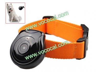 Mini Digital Camera Video Pet Eye View Trace Recorder Timing Capture Black