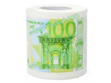 Creative 100 Euro Bill Pattern Roll Tissue Paper White + Green