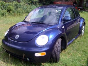VW Beetle