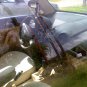VW Beetle
