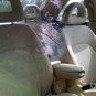 VW Beetle