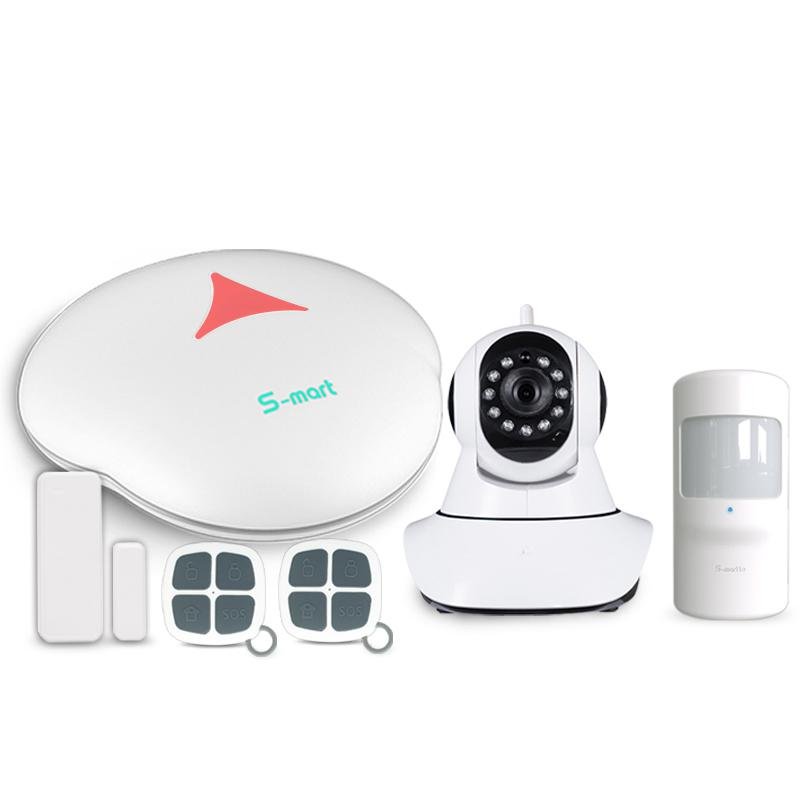 Smart Home System works with door lock and IP camera