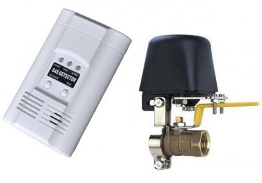 Vehicle gas detector DC12v gas security alarm with manipulator