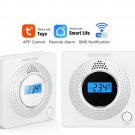 Wifi app control and alarm notify CO wireless alarm Wifi app control and alarm notify CO wireless alarm