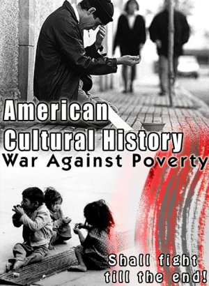 American Cultural History - War Against Poverty (DVD, 2005)