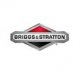 Briggs & Stratton Parts