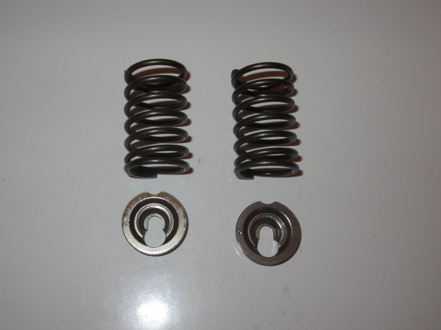 Briggs & Stratton Valve Spring Set 691270