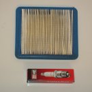 Briggs & Stratton Tune-up kit