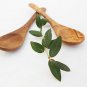 Olive Wooden small coffee spoon set, Set of 3 sugar salt coffee spoons 14cm