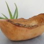 Olive Wood Rustic Bowl 10.8 X 6.7 X 5 Inch, Natural Edge Wooden Boat Shaped Sala
