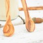 Long Handle Wooden Spoon - Ideal for Coffee Spices Herbs and Condiments