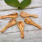 Tiny Coffee and Sugar Spoon Set - 5 Mini Salt Scoops for Christmas Gift