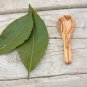 Tiny Coffee and Sugar Spoon Set - 5 Mini Salt Scoops for Christmas Gift