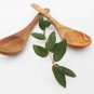 Olive Wood Coffee Spoons Set of 2 - Small Sugar Salt Spice Spoons
