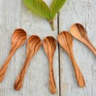 Olive Wood Coffee  Sugar Spoon Set - 5 Small Spoons for Gifts