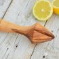 Citrus Juicer - Lemon Squeezer and Orange Press Great Christmas Gift