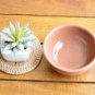 Handpainted Moroccan Ceramic Bowl - Small Terracotta Spice and Cereal Dish