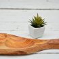 Olive Wood Rustic Serving Bowl - Handcrafted Three-Section Plate Unique Mom Gift