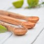 Olive Wood Scoop Set - 3 Mini Spice Spoons with Long Handles