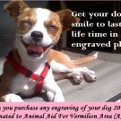 Doggie Engraving!!!!