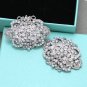 2 pcs x Bridal Vintage Style Rhinestone Oval Shoes Wedding Crystal Shoe Clips