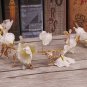 Bridal Crystal Cream White Flower Butterfly Wedding Tiara Hair Accessories