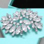 2 Pieces Vintage Large Silver Bridal Shoe Clips Rhinestone Crystals Buckles