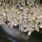 Bridal Lace Rhinestone Crystal Flower Faux Pearl Hair Clip Wedding Headpiece