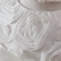 Cream White Wedding Baby Shower Rose Lace Dress & Baby Girl Headpiece Band 3M/6M