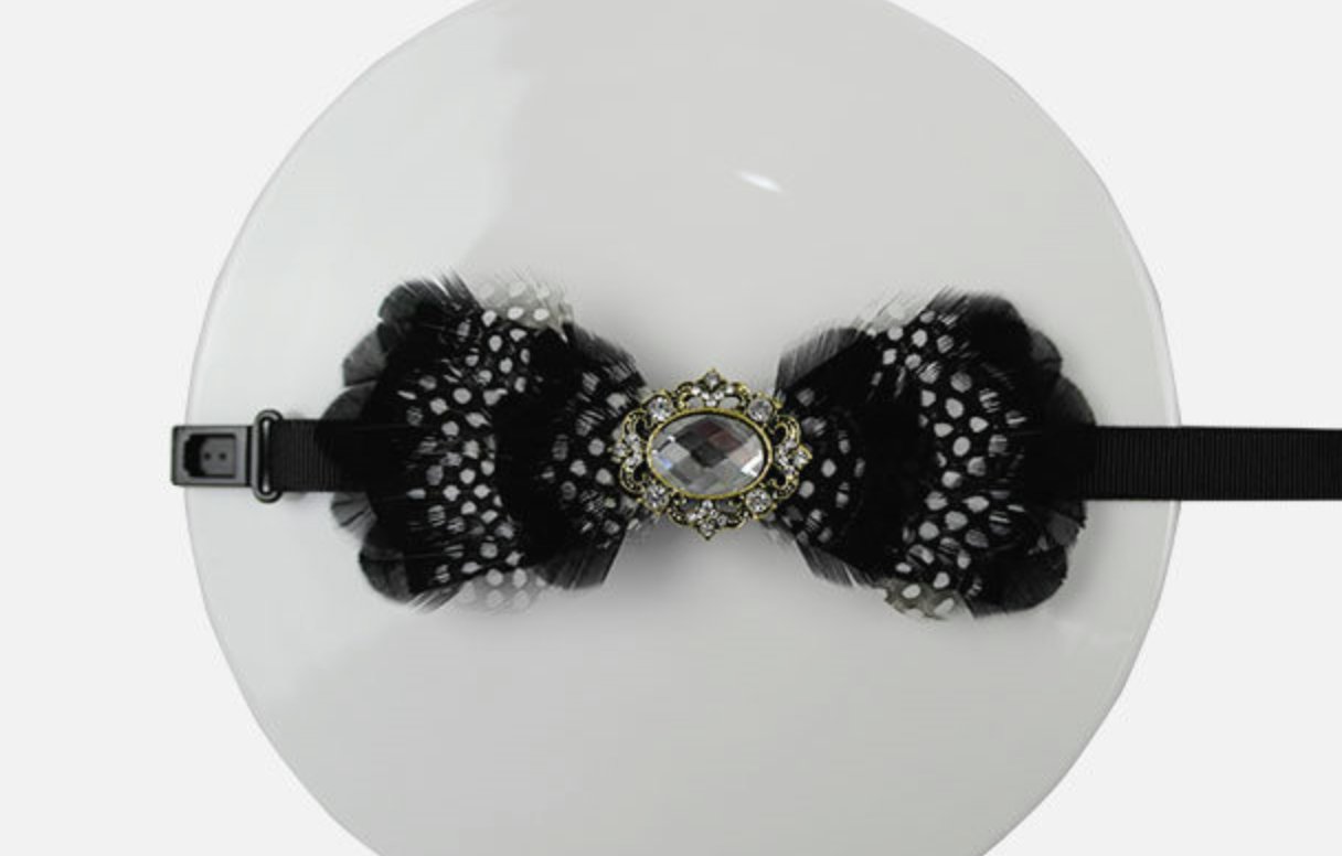 Wedding Men Pre Tied Crystal Bow Tie Black Feather  Neck Tie  Necktie