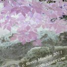 Negative Bloom #3