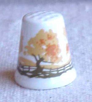 Bone China Thimble from Scotland - Memory Lane Collectibles