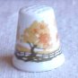 Bone China Thimble from Scotland - Memory Lane Collectibles
