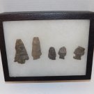 Lot of 5 Native American Indian Arrowhead Artifacts & Display Box Unknown Origin