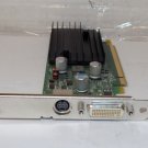 Dell NVIDIA GeForce 9300 P805 Graphics Card PCI-E V155 256MB