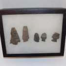 Lot of 5 Native American Indian Arrowhead Artifacts & Display Box
