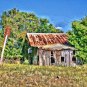 The Shack 4912