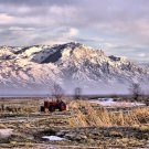 Rocky Mountain Tractor